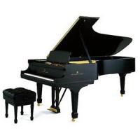 Nachhilfelehrer/in - Nachhilfe Pianoforte, Musica Genova Nachhilfe Profilbild